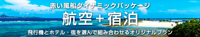 航空+宿泊プラン
